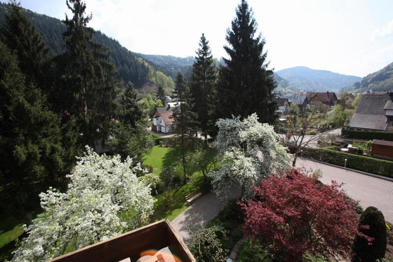 Hotel Garni Cafe Schacher Oberwolfach Exterior photo